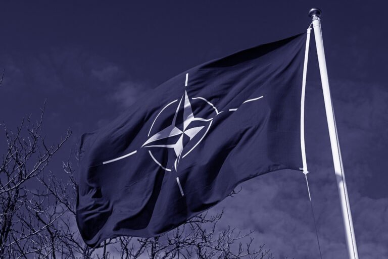NATO flag flying outdoors against a dark sky with leafless tree branches in the background.