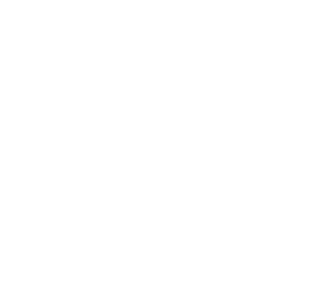 Modern logo of Pax Orientalis featuring interconnected shapes representing unity and Asian cultural motifs.