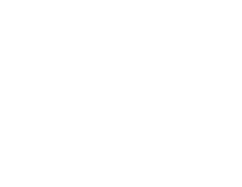 Intricate white knot emblem symbolizing connection and unity, representing Pax Orientalis' focus on intercultural dialogue, peace, and collaboration within Asian cultural exchanges.